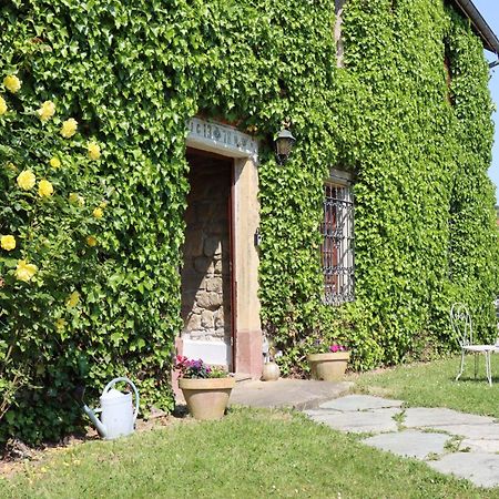 Maison De Charme "Le Moulin D'Hagenthal" - Chambre Romantique Apartment Exterior foto